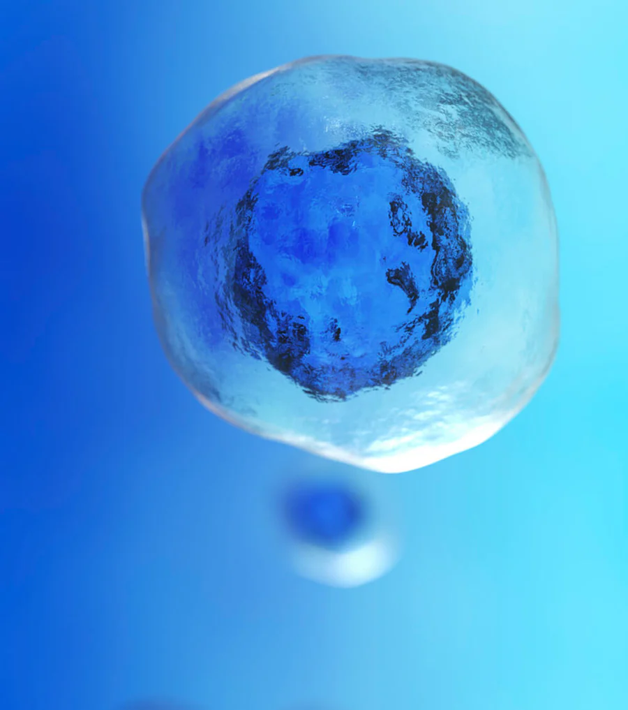 AboutUs-StemCell_f936beae-78c2-43c1-956a-c3c2fc81afe5